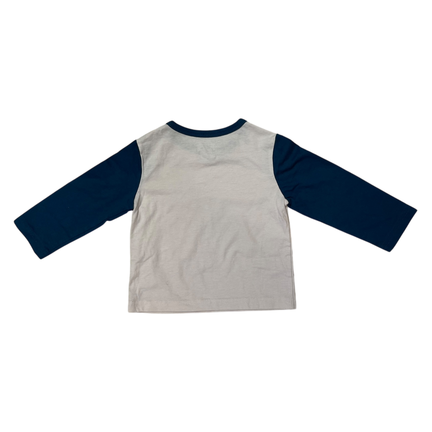Boys the children’s place white with blue T- shirts size 9 mth