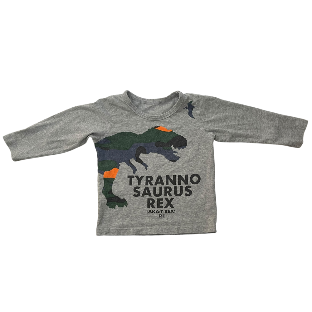 Boys unknown gray T-shirt size 3 year