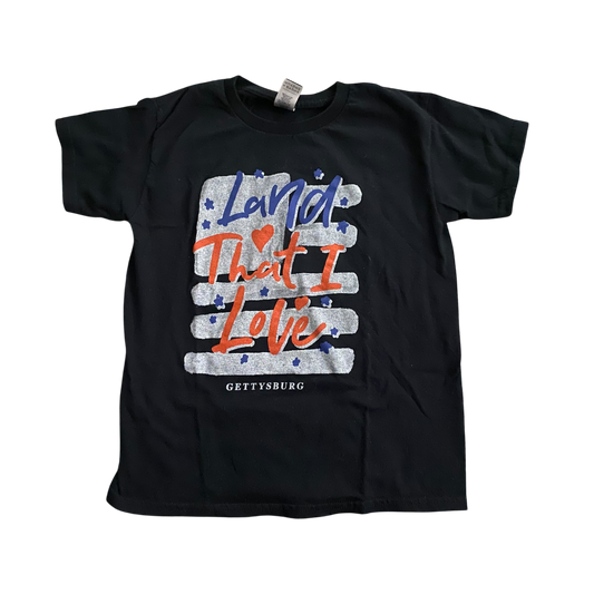 Boys gildan black T-shirt, size 10