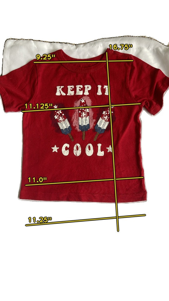 Unisex celebrate patriotic red T-shirt size 3