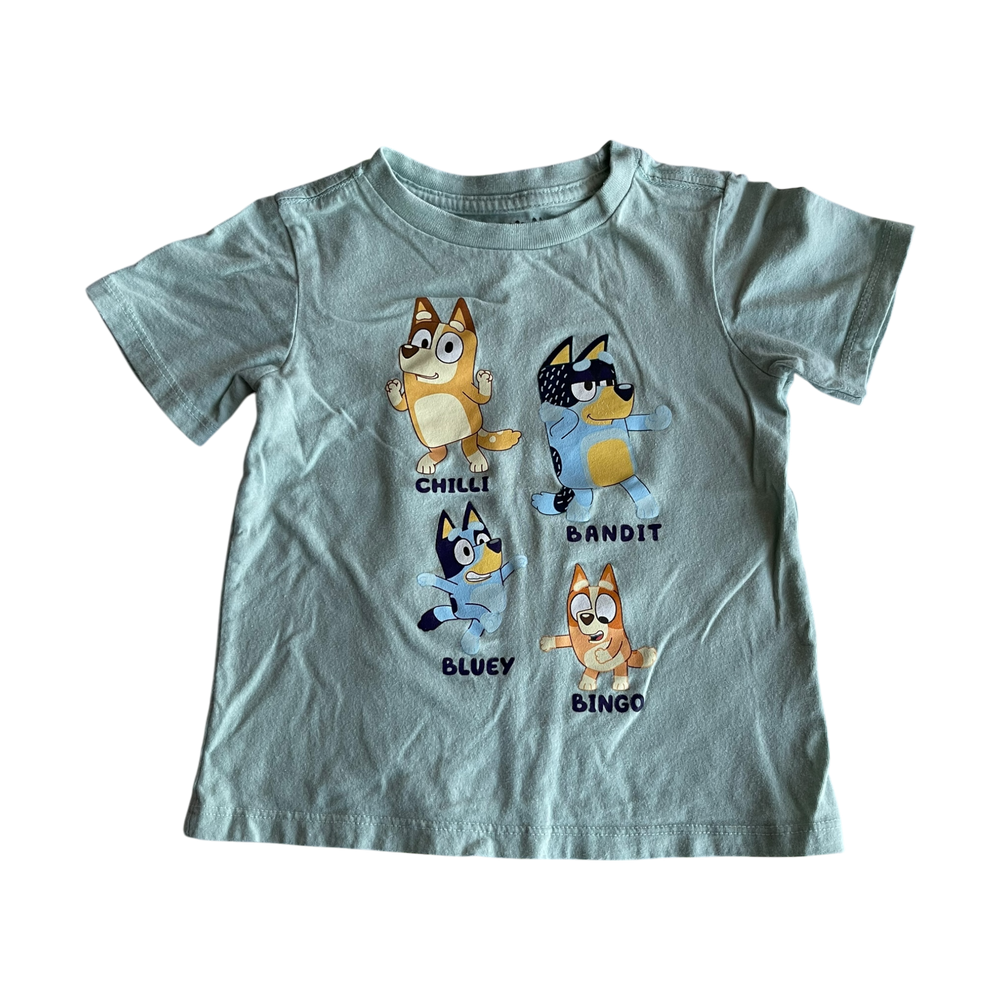 Boys bluey light green T-shirt size 3