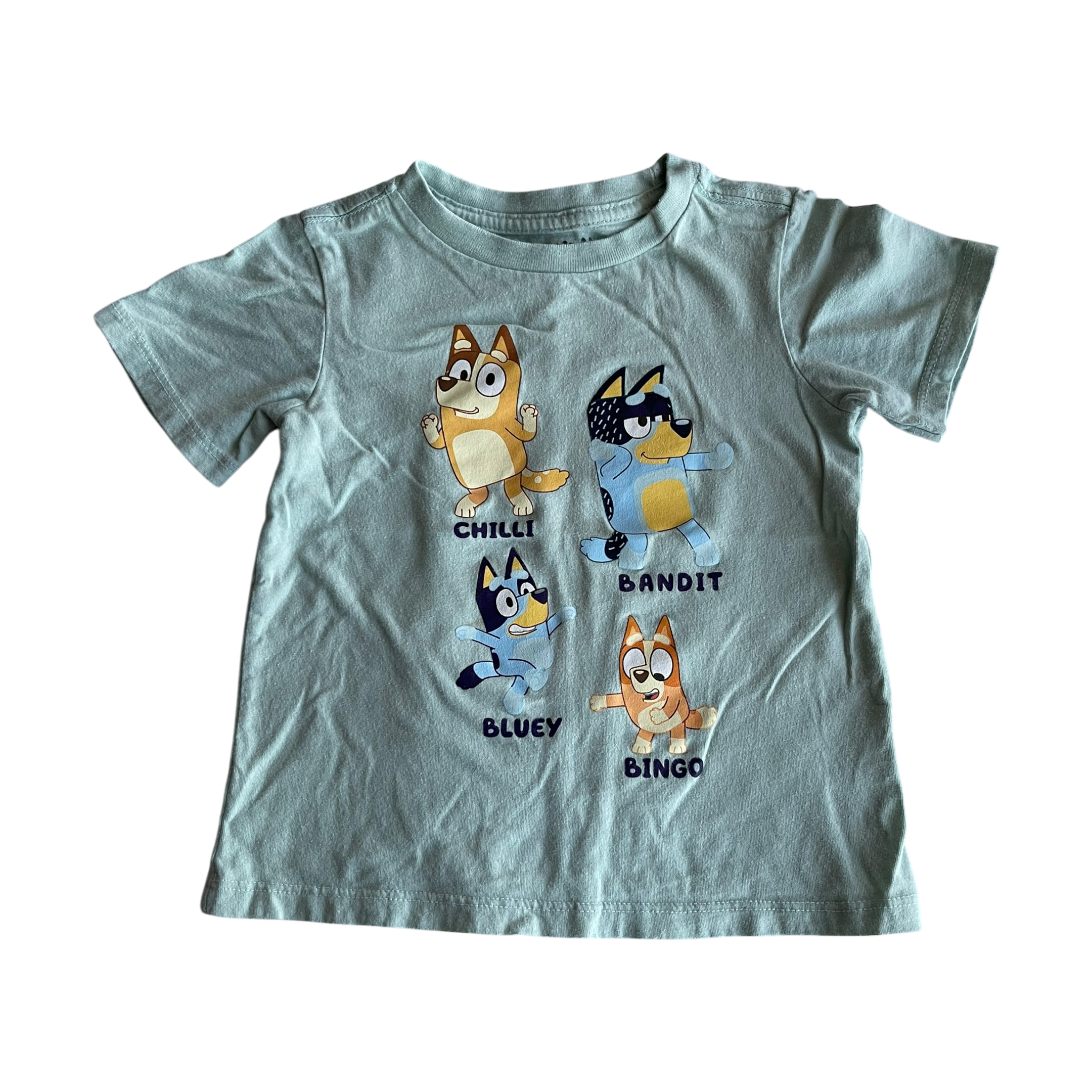 Boys bluey light green T-shirt size 3