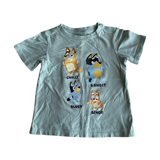Boys bluey light green T-shirt size 3