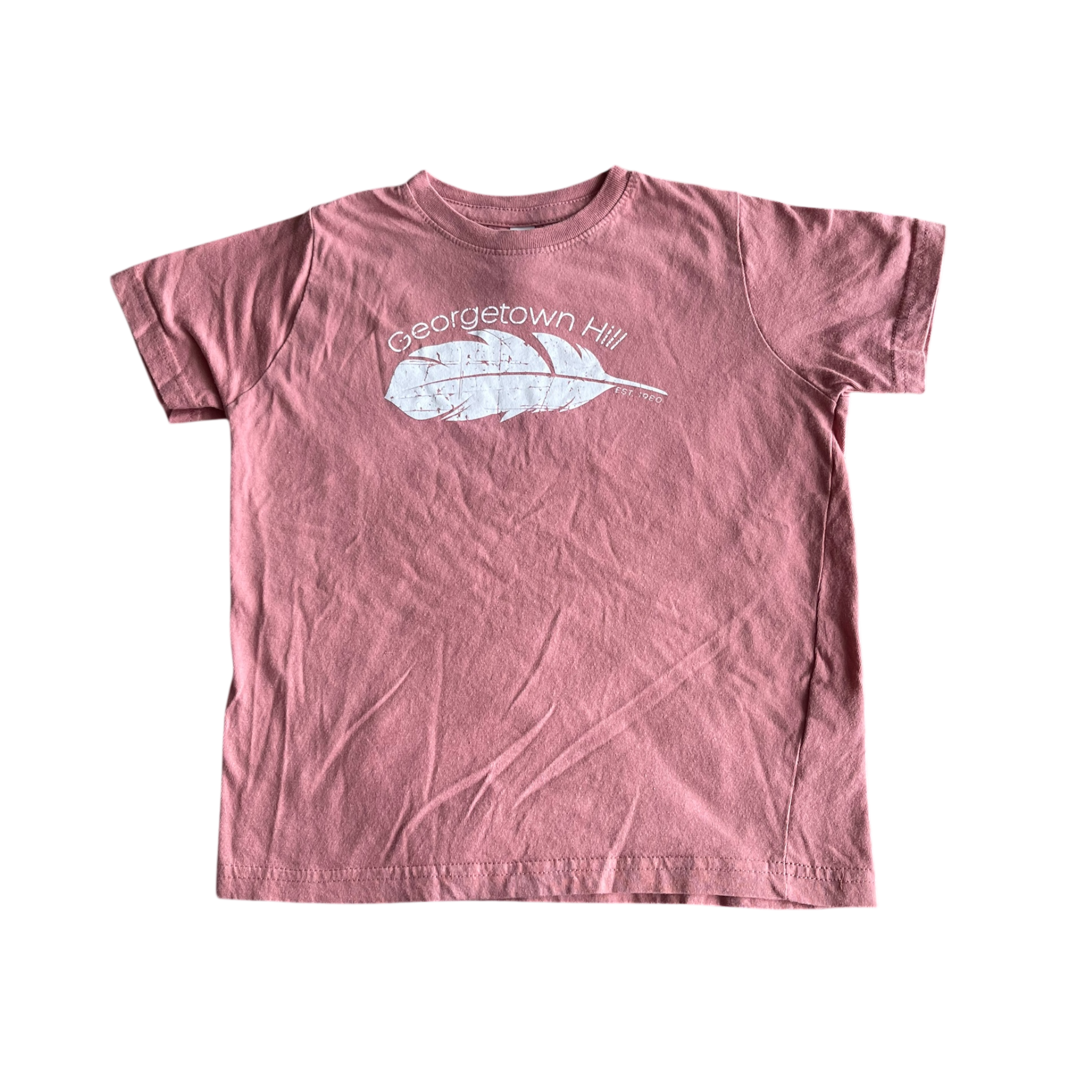 Girls rabbit skins pink T-shirt size 5