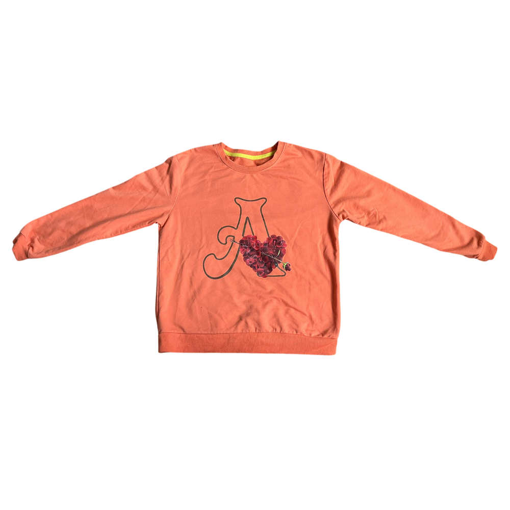 Girls SHEIN orange Sweatshirt size 10