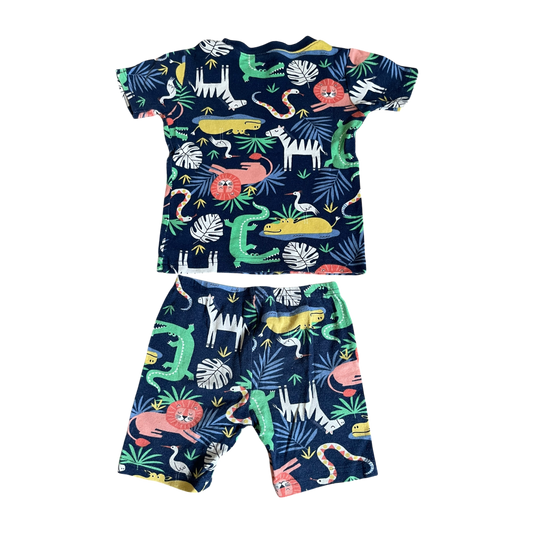 Boys carter’s multicolor