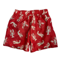 Boys carter’s red Shorts size 2