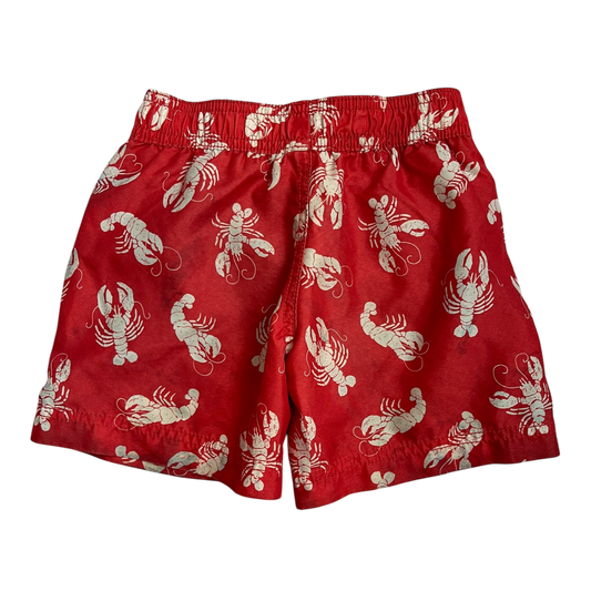 Boys carter’s red Shorts size 2