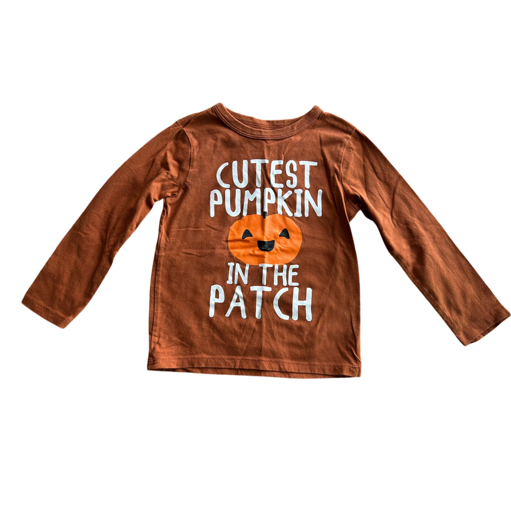 Boys the children’s place brown T-shirt size 4