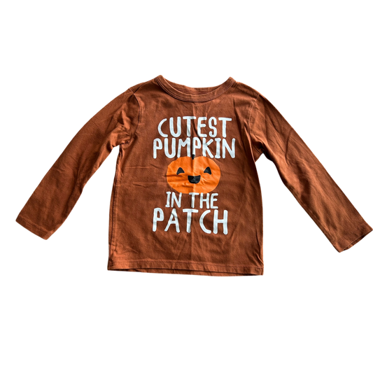 Boys the children’s place brown T-shirt size 4