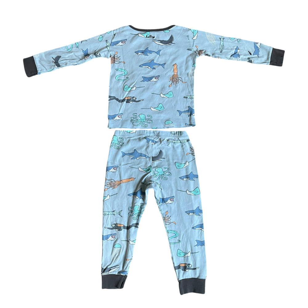 Boys hatley light blue Pajama size 4