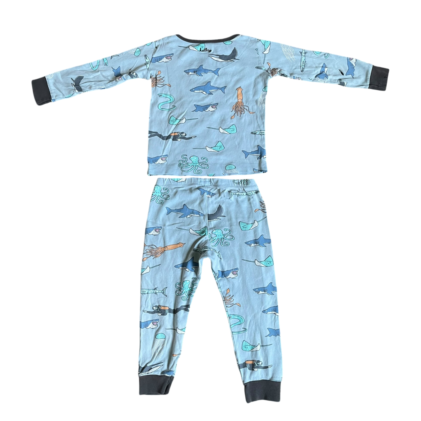 Boys hatley light blue Pajama size 4