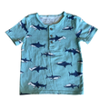 Boys carter’s blue T-shirt size 5