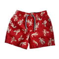 Boys carter’s red Shorts size 2