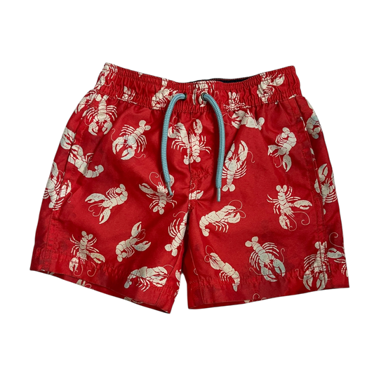 Boys carter’s red Shorts size 2