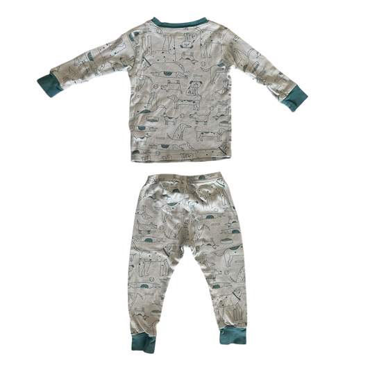 Boys carter’s gray with teal Pajama size 18 mth