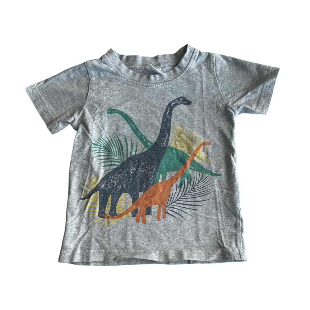 Boys unknown gray T-shirt size 3