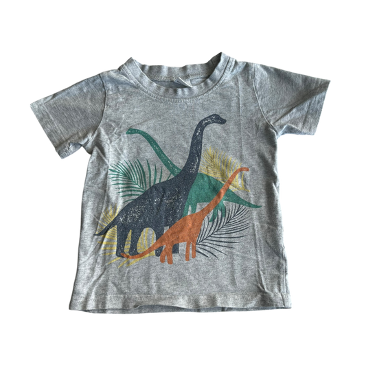 Boys unknown gray T-shirt size 3