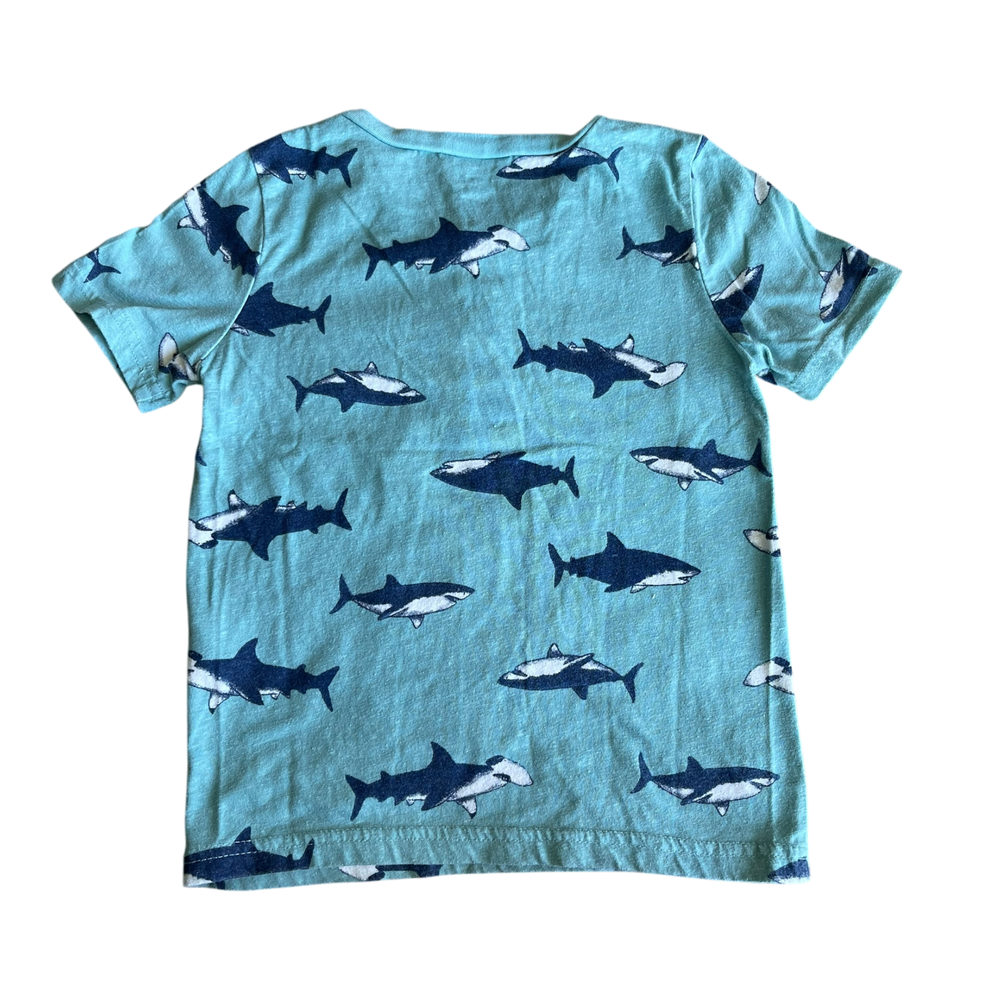 Boys carter’s blue T-shirt size 5