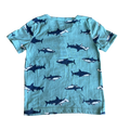 Boys carter’s blue T-shirt size 5