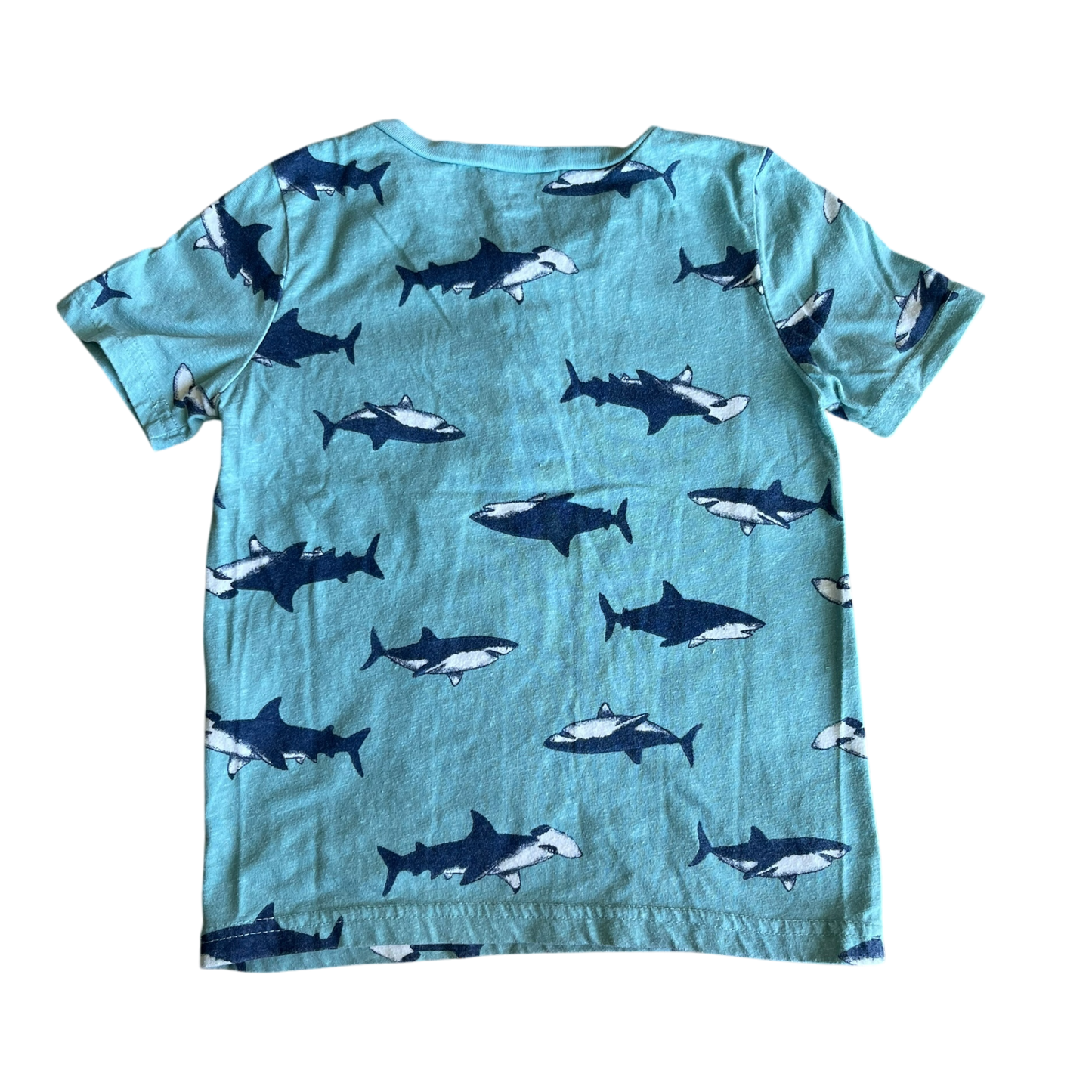 Boys carter’s blue T-shirt size 5