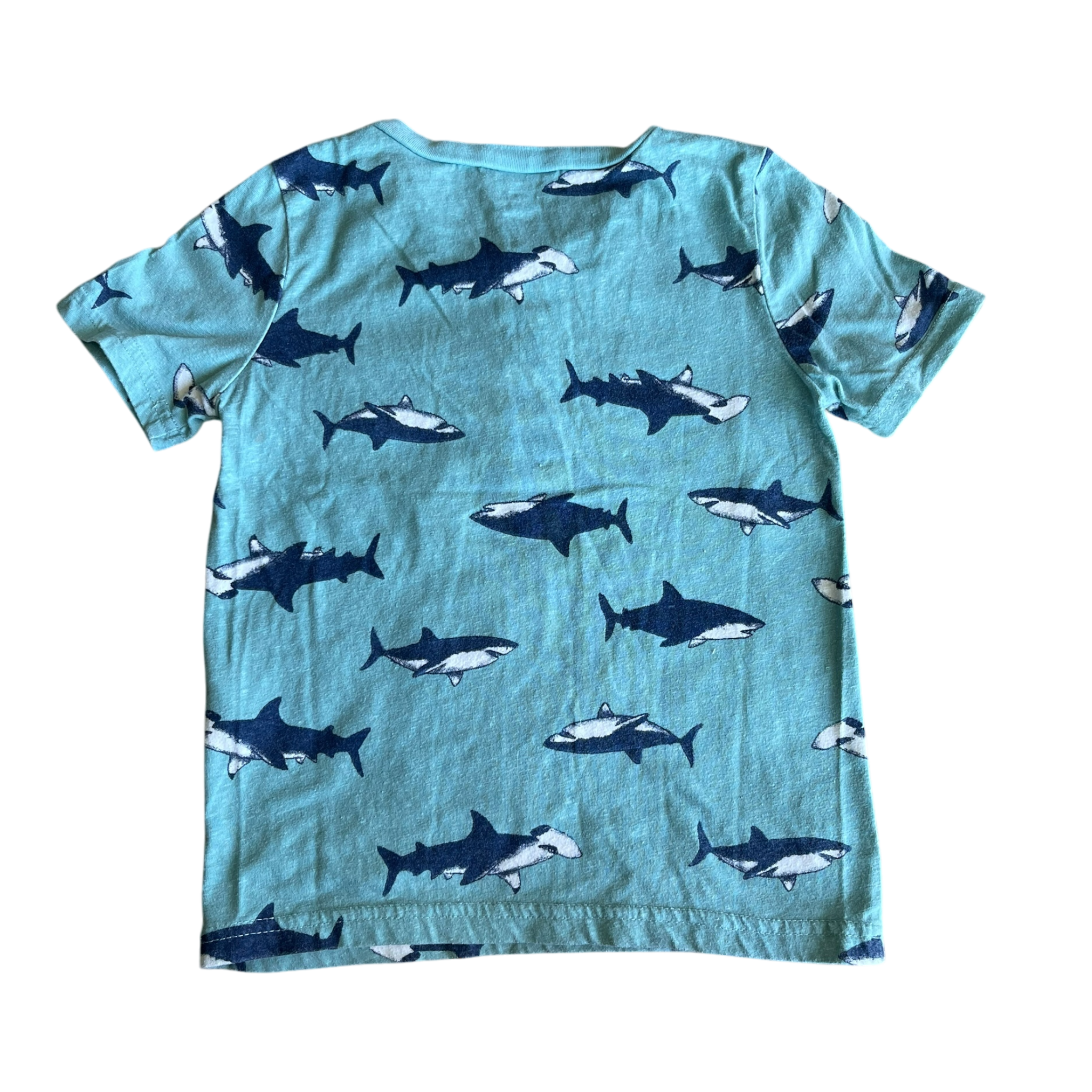 Boys carter’s blue T-shirt size 5