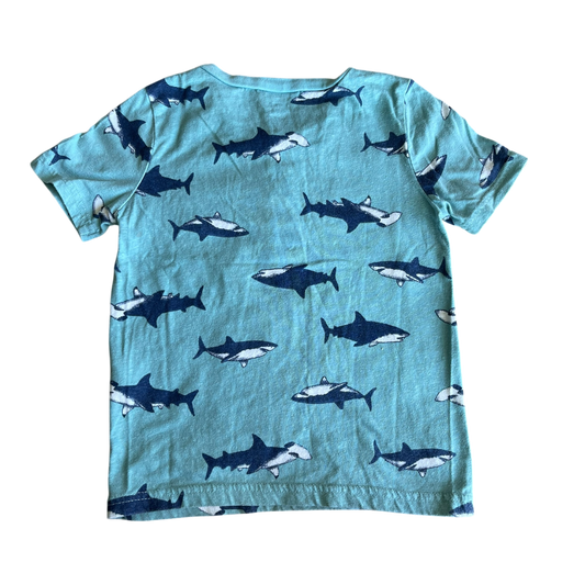 Boys carter’s blue T-shirt size 5