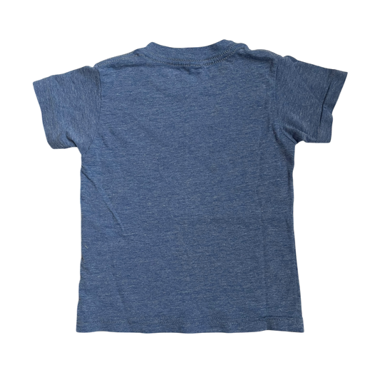 Boys American Apparel blue T-shirt size 2