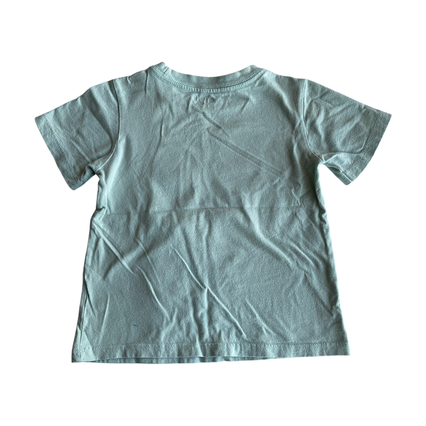 Boys bluey light green T-shirt size 3
