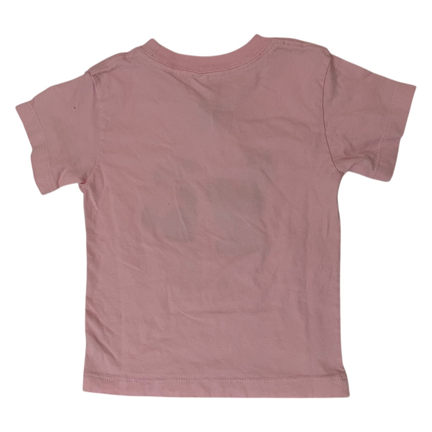 Girl Bella+Canvas kids pink T-shirt size 2
