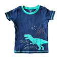 Boys carter’s navy and light green T-shirt size 4