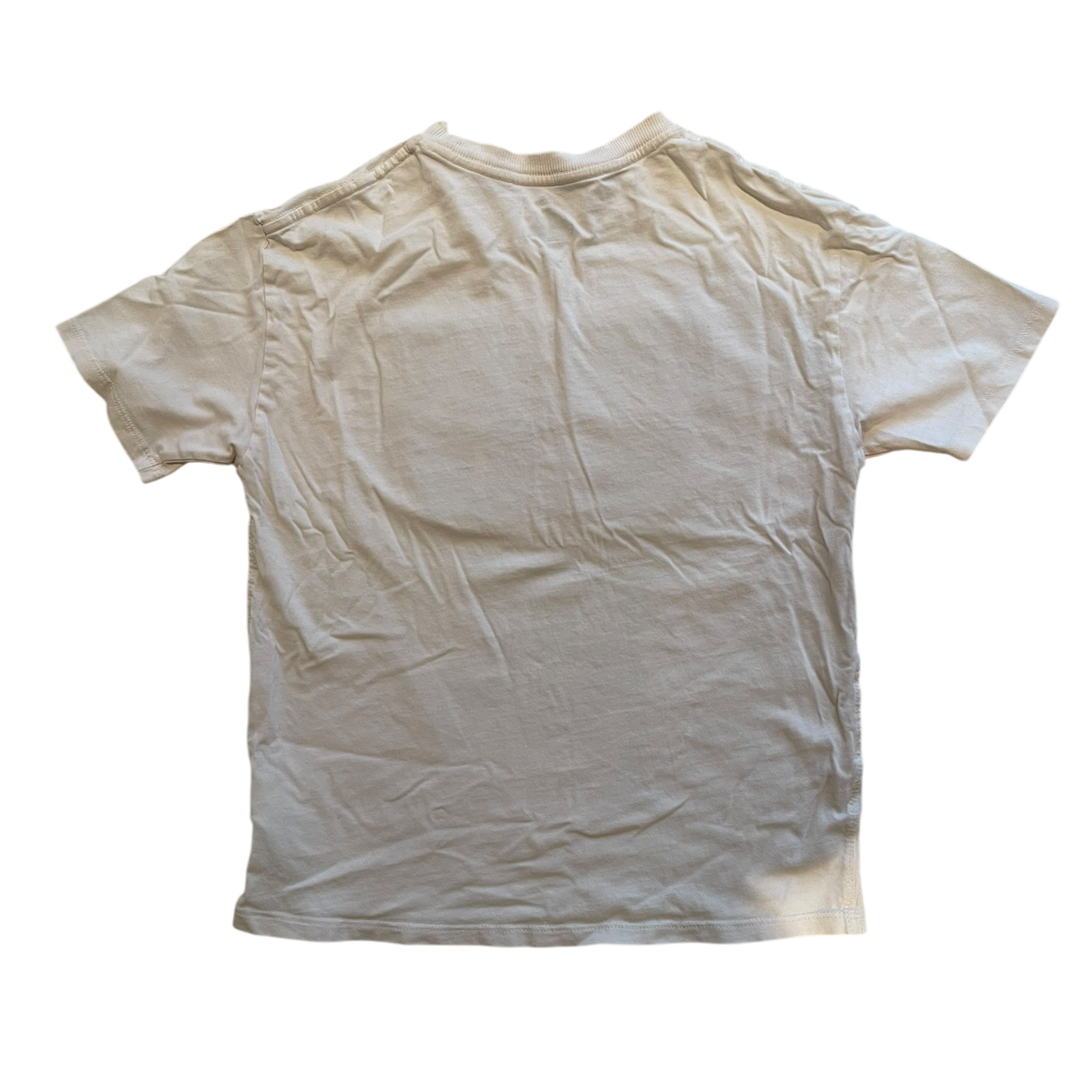 Boy jurassic world white T-shirt size 9