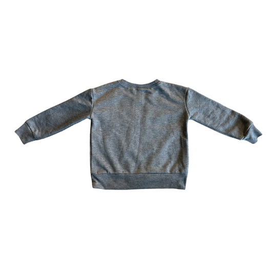 Gray Sweatshirt from North Pole for 4 year old Girls