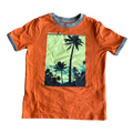 Boys Garanimale orange T-shirt size 5