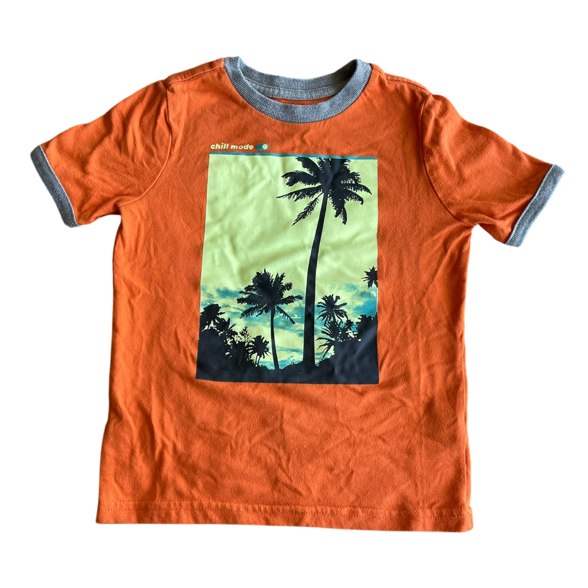 Boys Garanimale orange T-shirt size 5