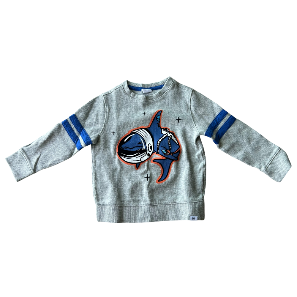 Boys gap blue and gray Sweatshirt size 4