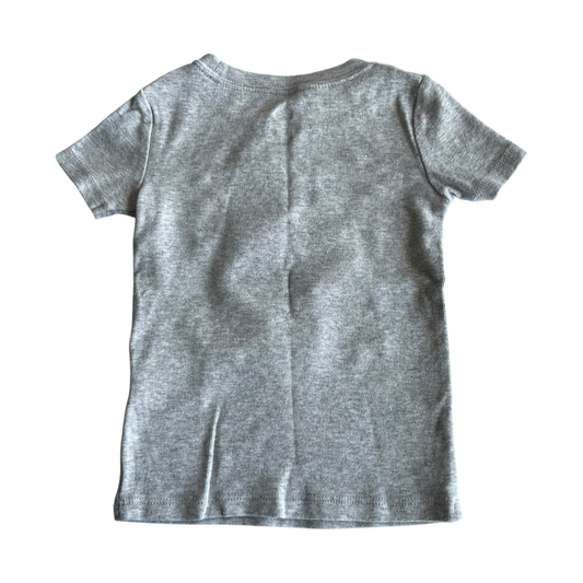 Boys kids gray T-shirt size 3