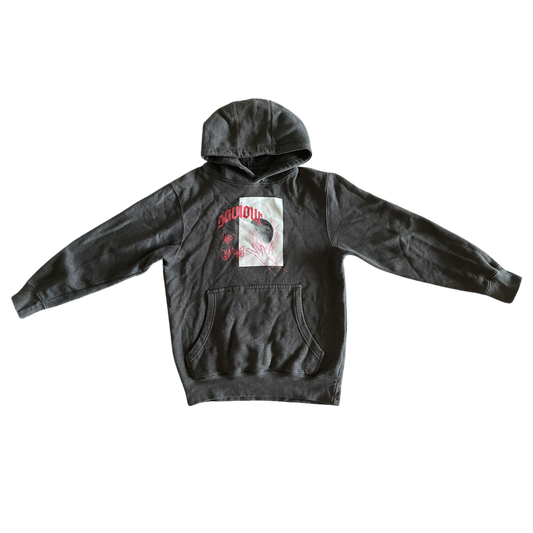 Fashion NOVA Sweatshirt for boys