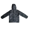 Jacket from Gap for boys