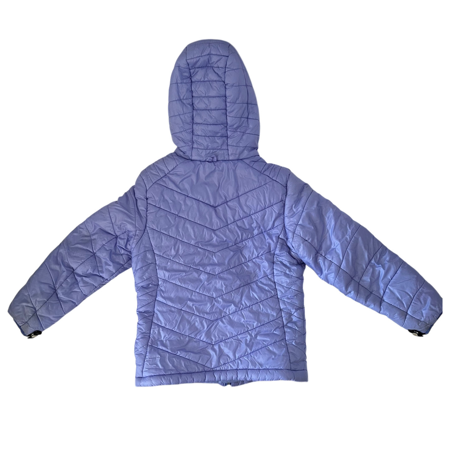Periwinkle Coat