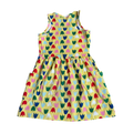 Girls Hanna Andersson yellow red pink green blue Dress size 6