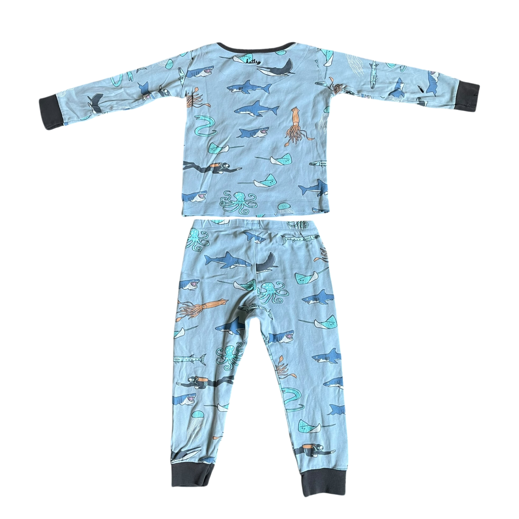 Boys hatley light blue Pajama size 4