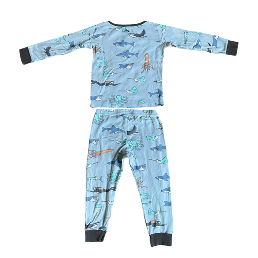 Boys hatley light blue Pajama size 4