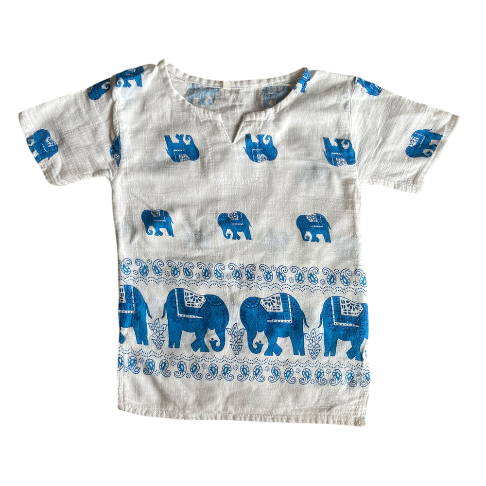 Boys blue and white T-shirt for 2 year old