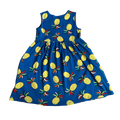 Girls Hanna Andersson blue yellow Dress size 8