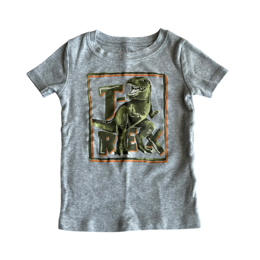 Boys kids gray T-shirt size 3
