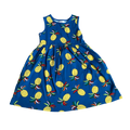 Girls Hanna Andersson blue yellow Dress size 8