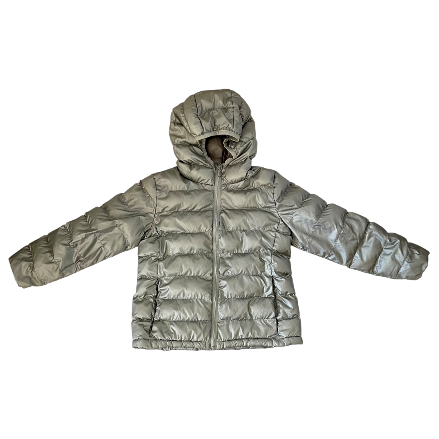 Silver Coat