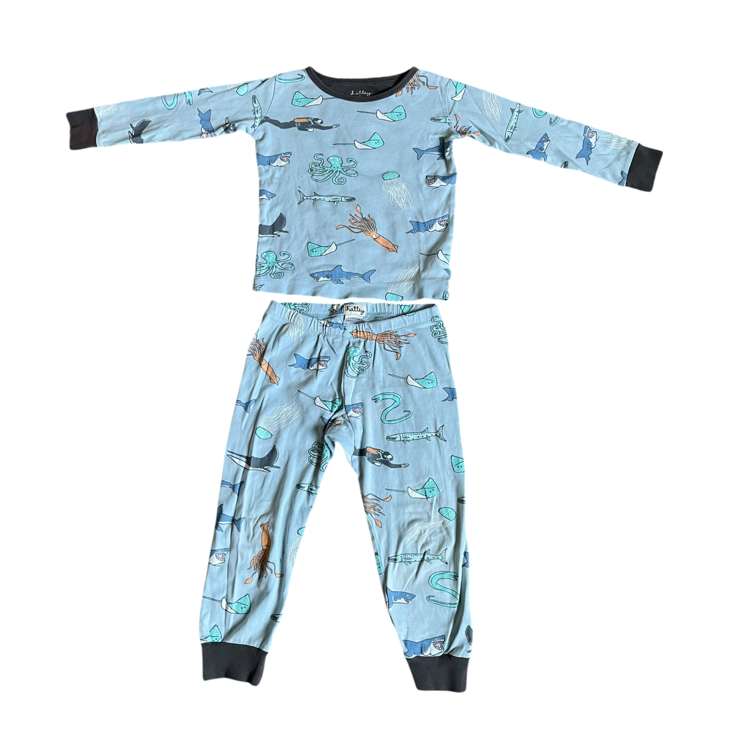 Boys hatley light blue Pajama size 4