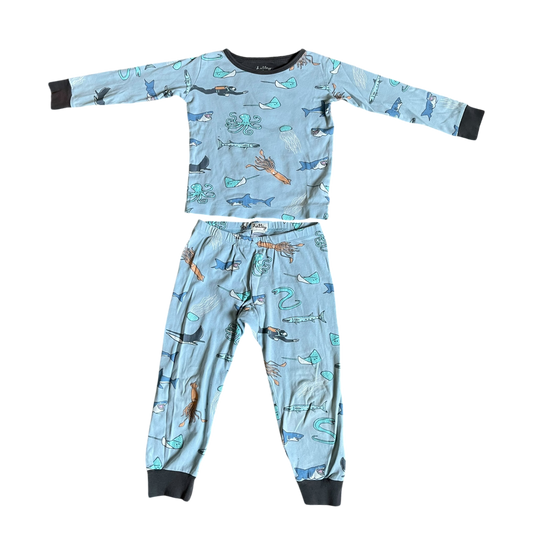 Boys hatley light blue Pajama size 4